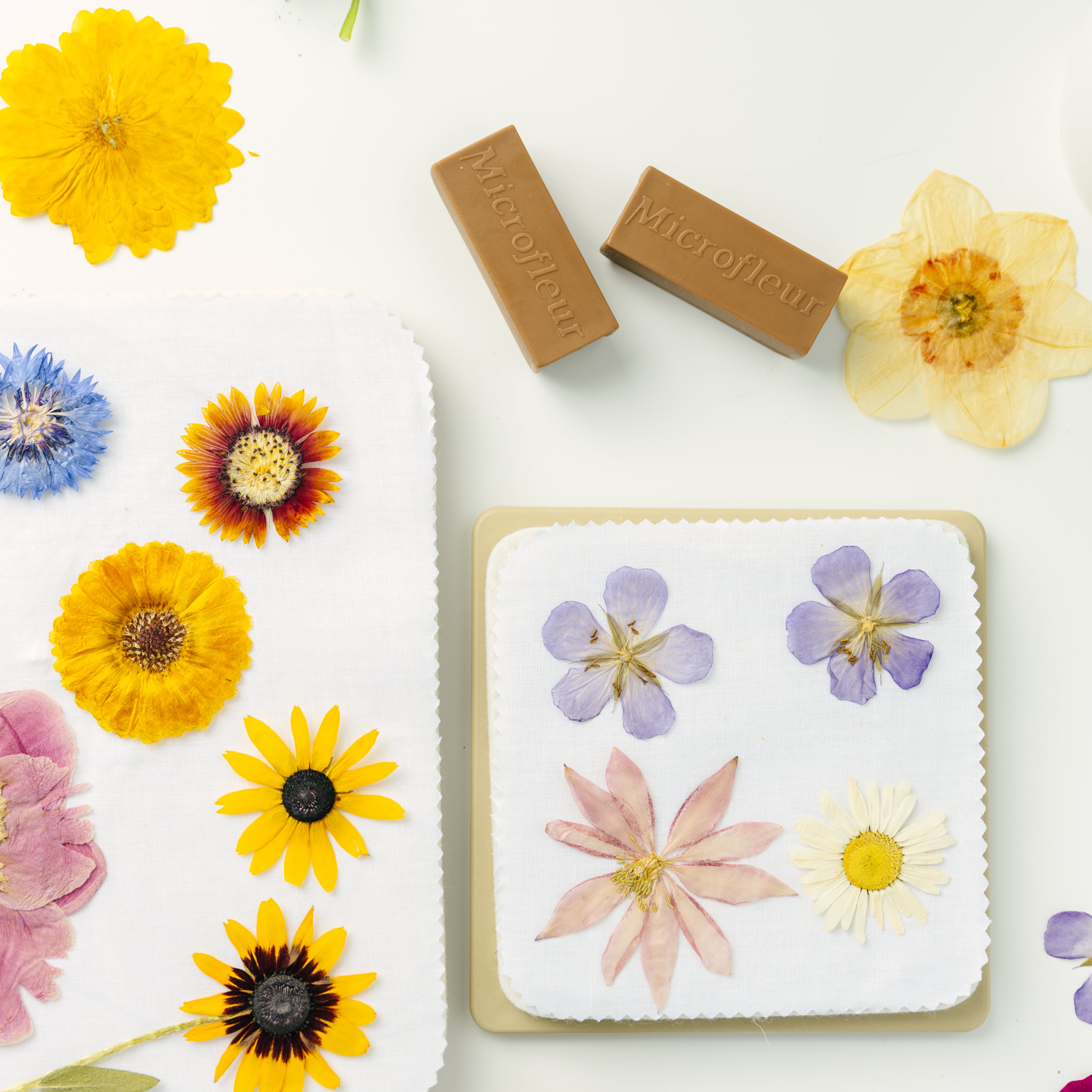 Flower Press Kits - Pressed Flowers Fast – Microfleur