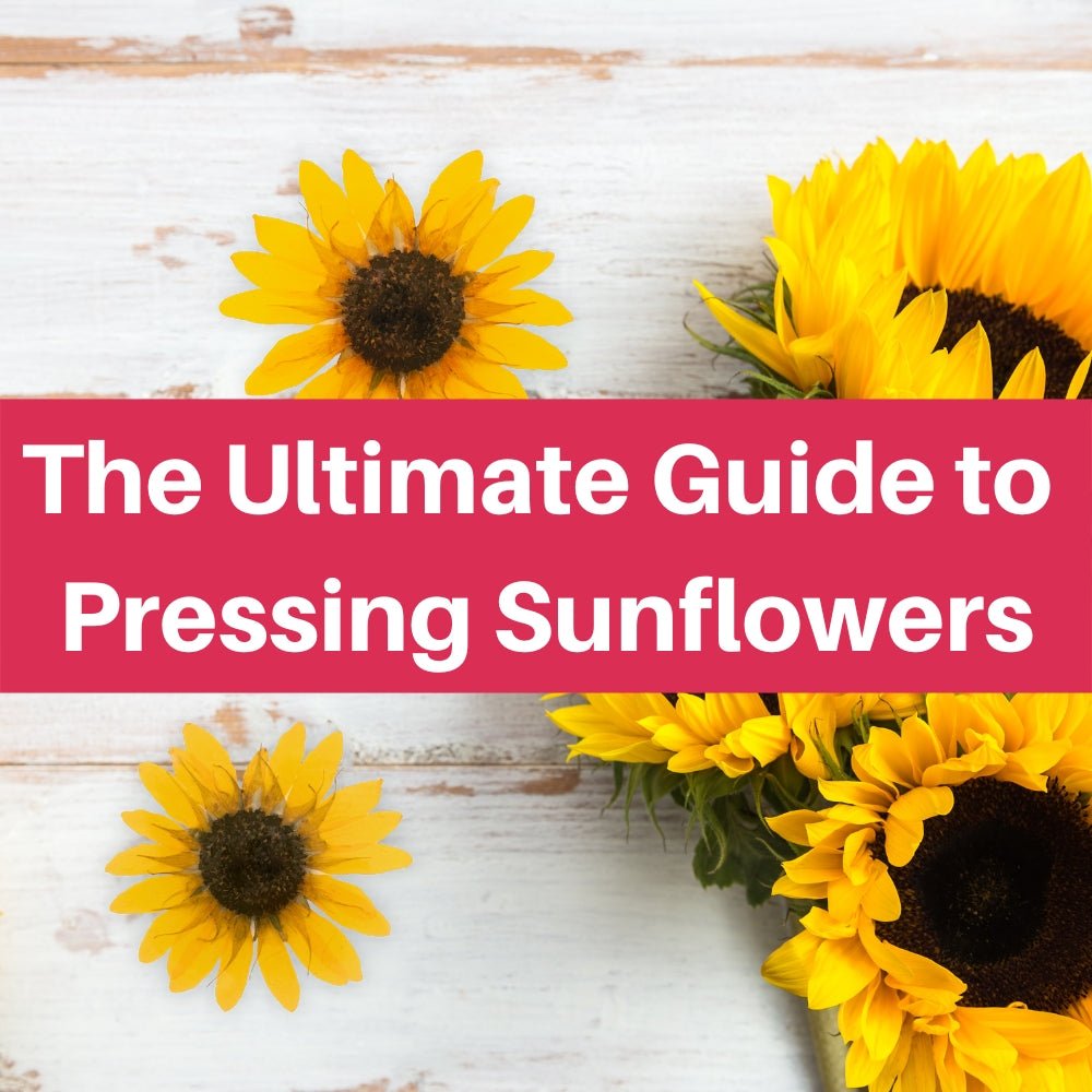 Pressing Sunflowers Online Course - Microfleur